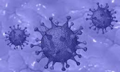 Stellungnahme zum Coronavirus – Stand: 17.03.20 Stellungnahme zum Coronavirus – Stand: 17.03.20
